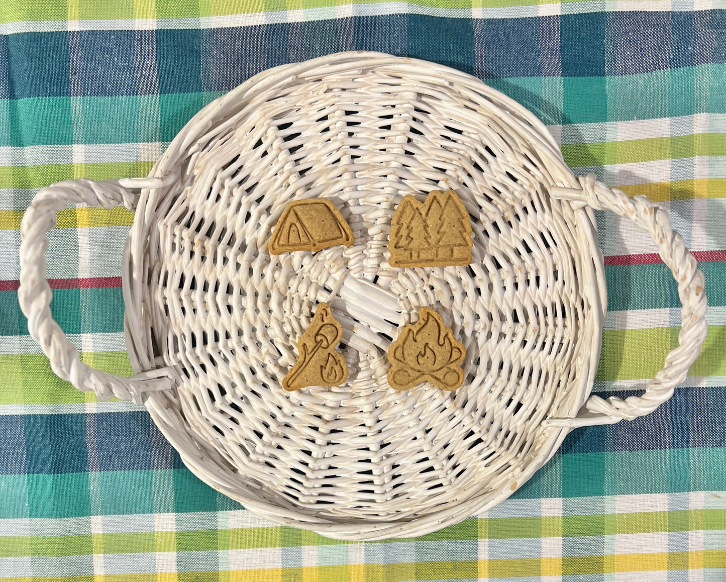 CAMPING MINIS