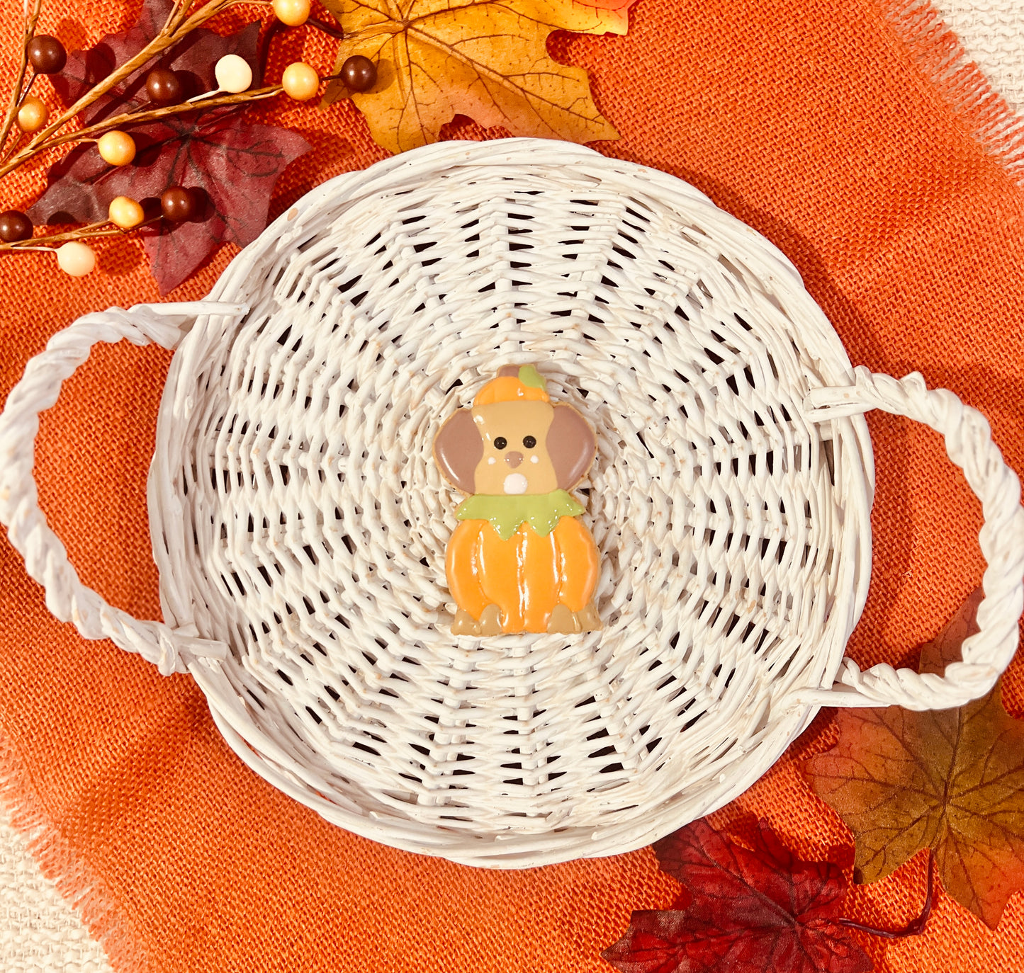 ICED PUP-KIN PUP