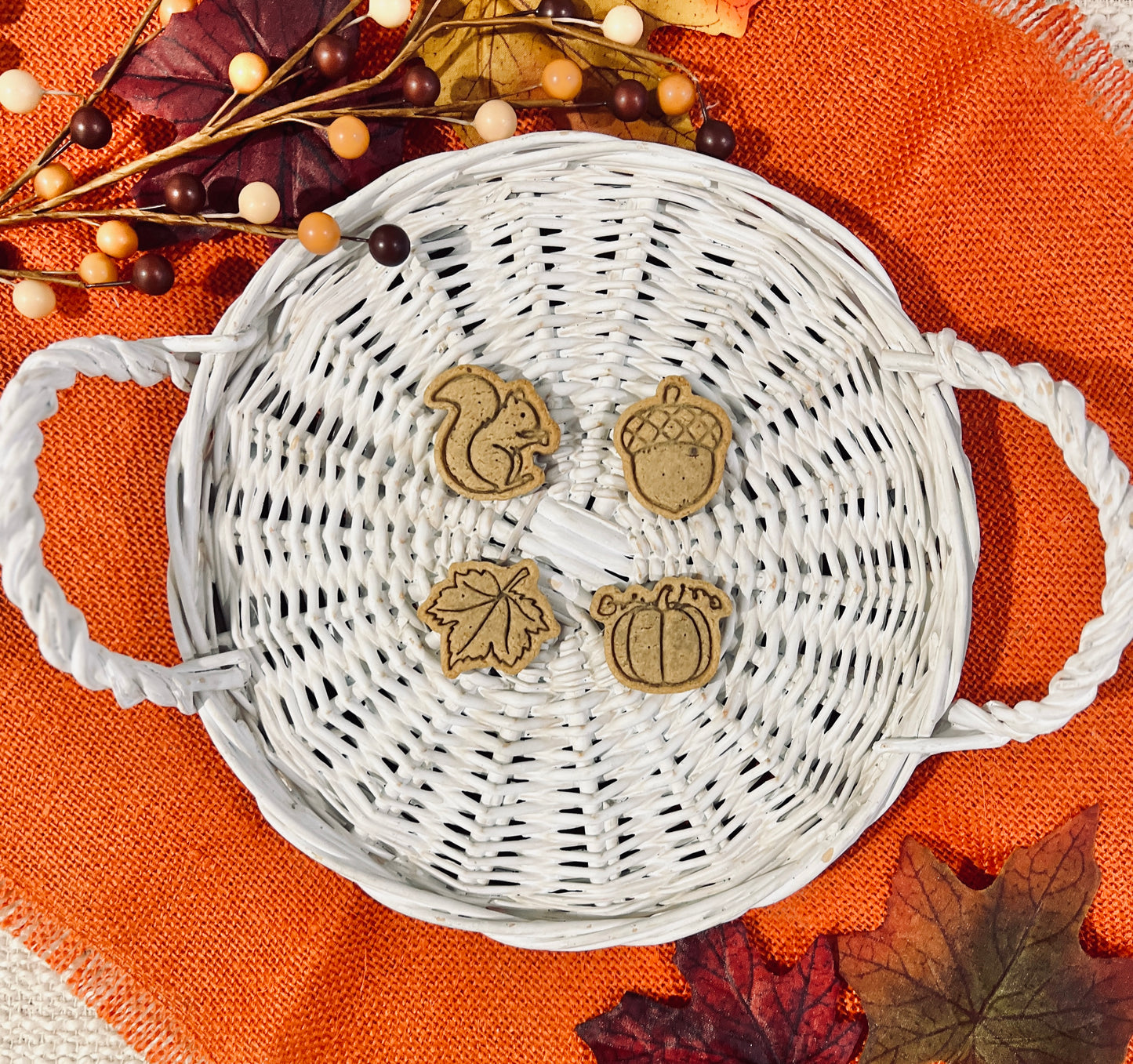 FALL MINI BUNDLE