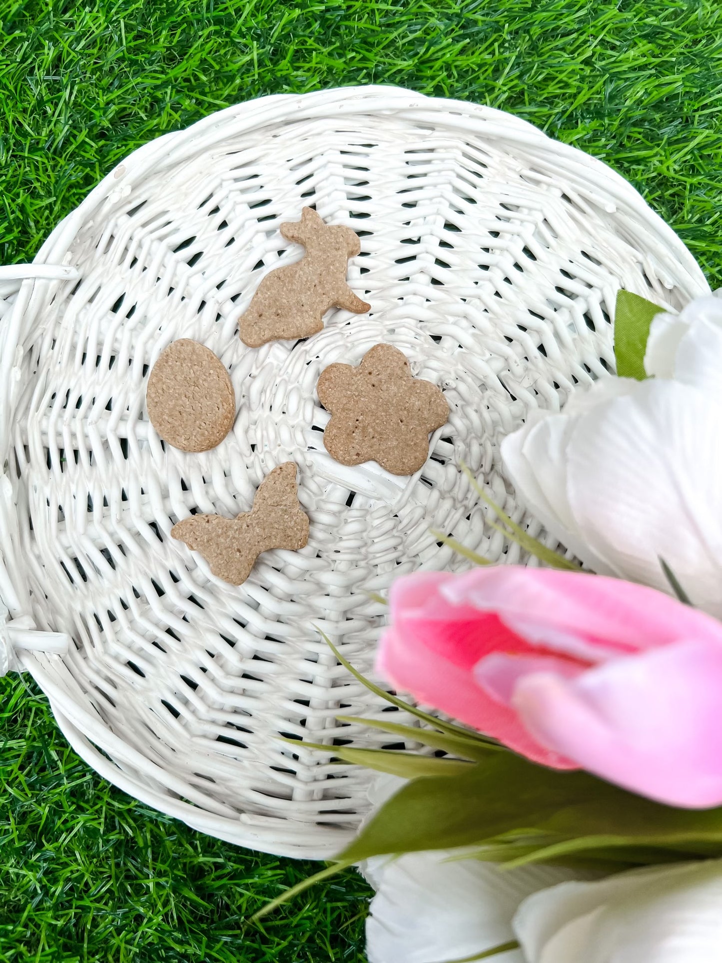SPRING MINIS