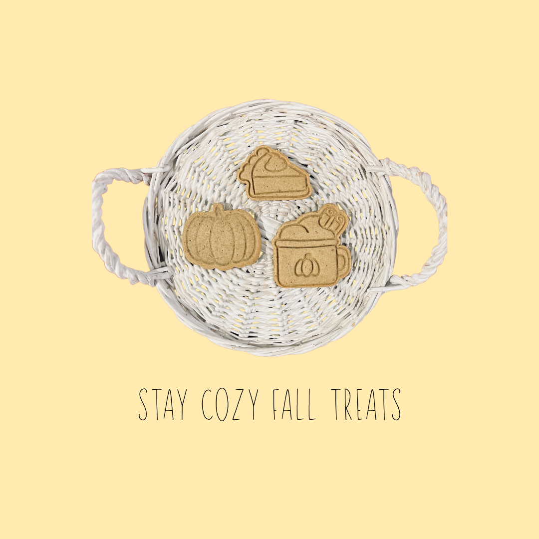 STAY COZY