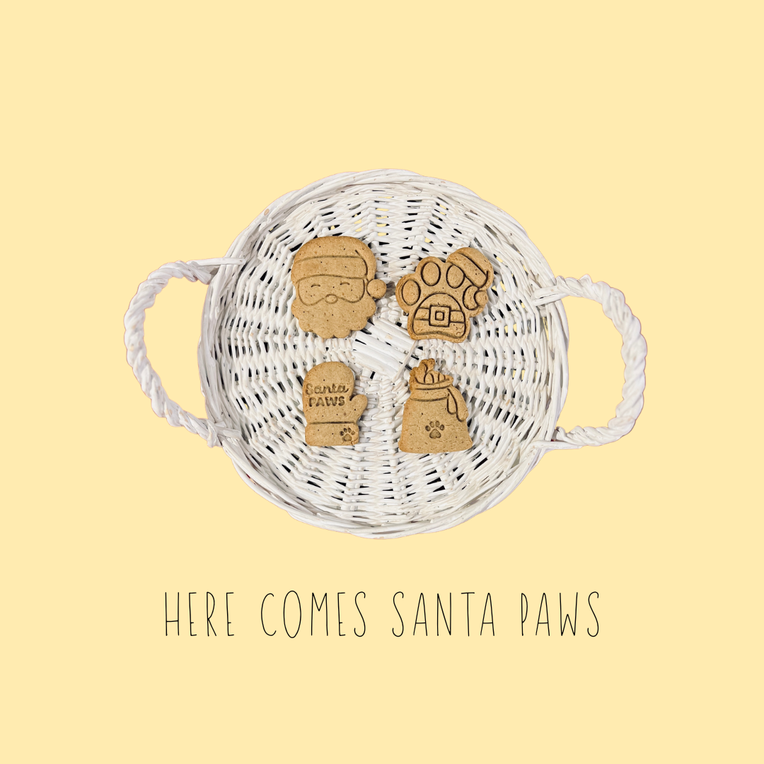 SANTA PAWS