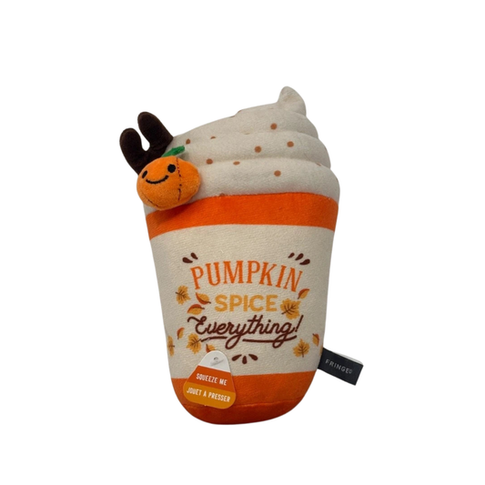 PUMPKIN SPICE EVERYTHING