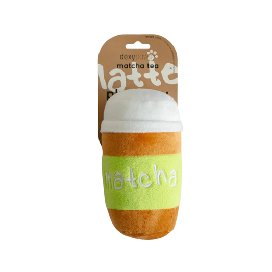MATCHA TOY