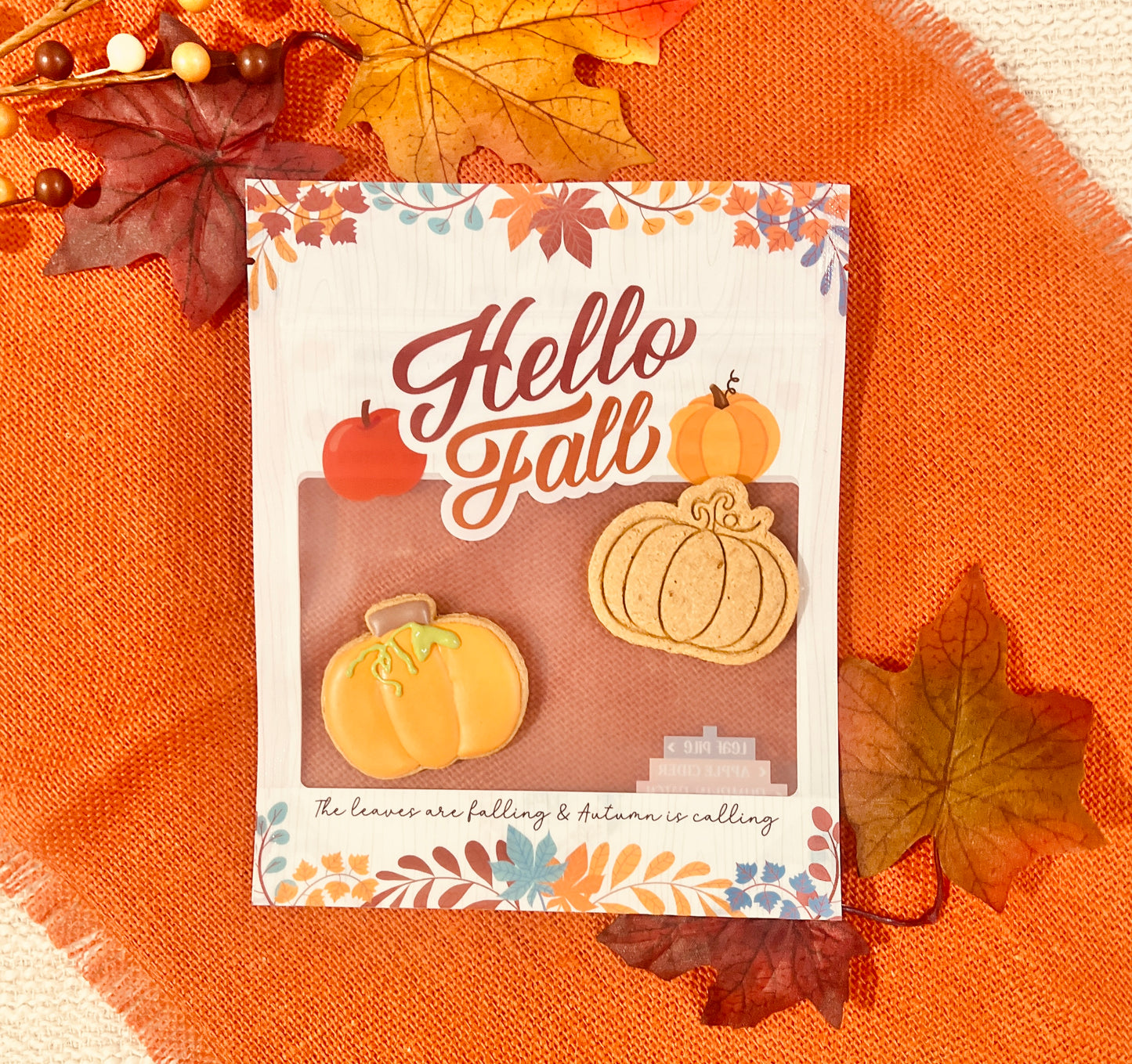 EXCLUSIVE PACKAGING - PUMPKIN PATCH