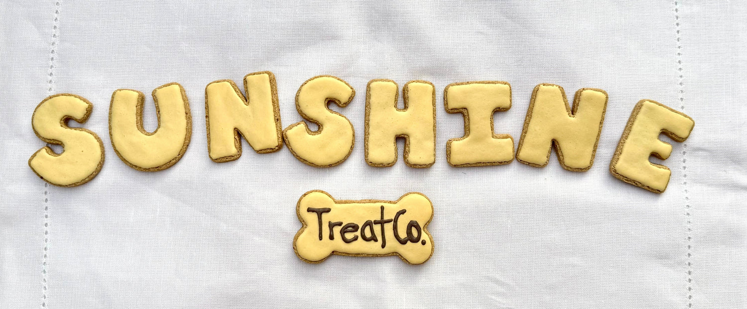 Gold 'SUNSHINE' treats with 'Treat Co.' logo on a white background