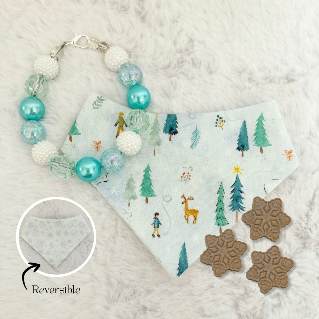 WINTER WONDERLAND TREAT, BANDANA, NECKLACE, BUNDLE