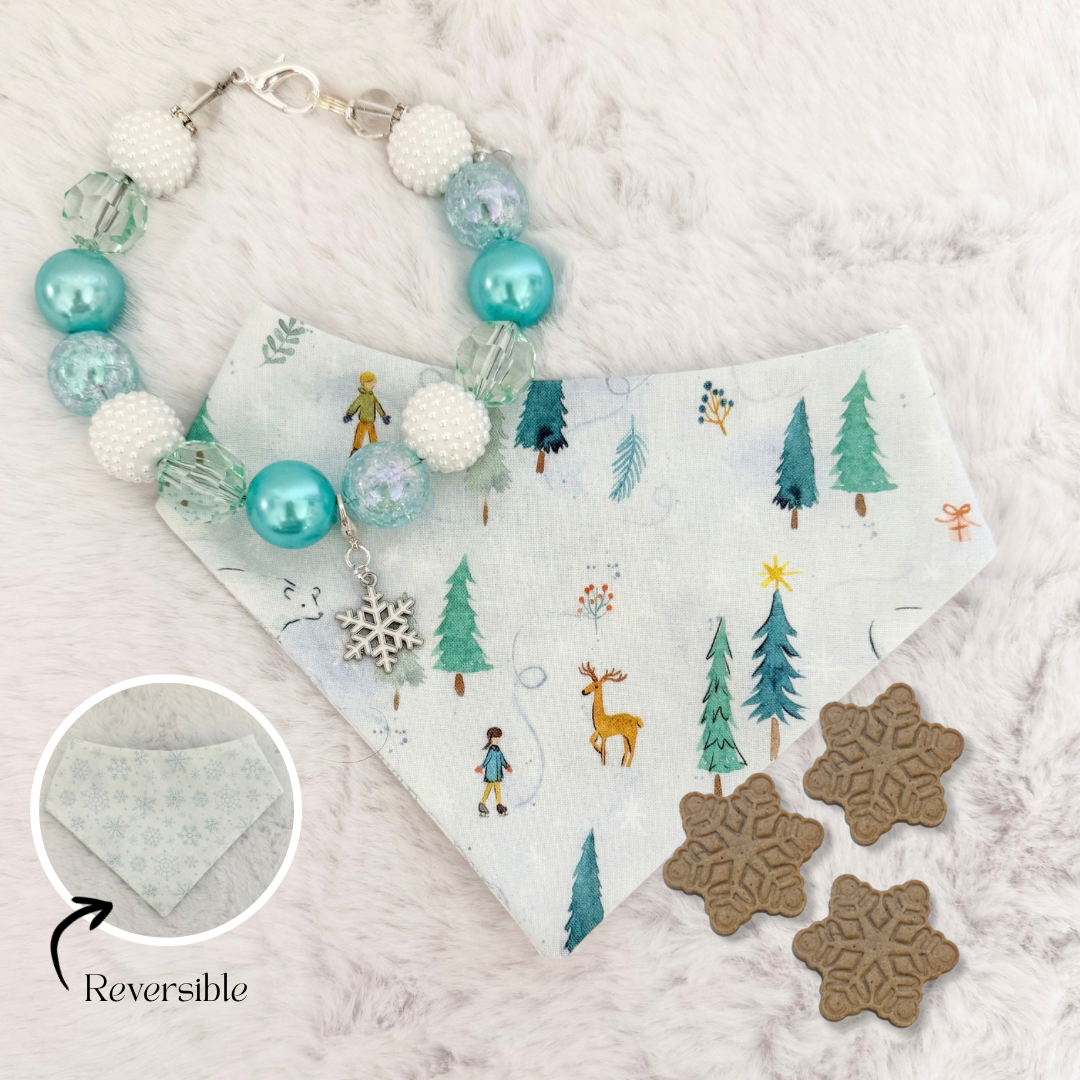 WINTER WONDERLAND TREAT, BANDANA, NECKLACE, CHARM, BUNDLE