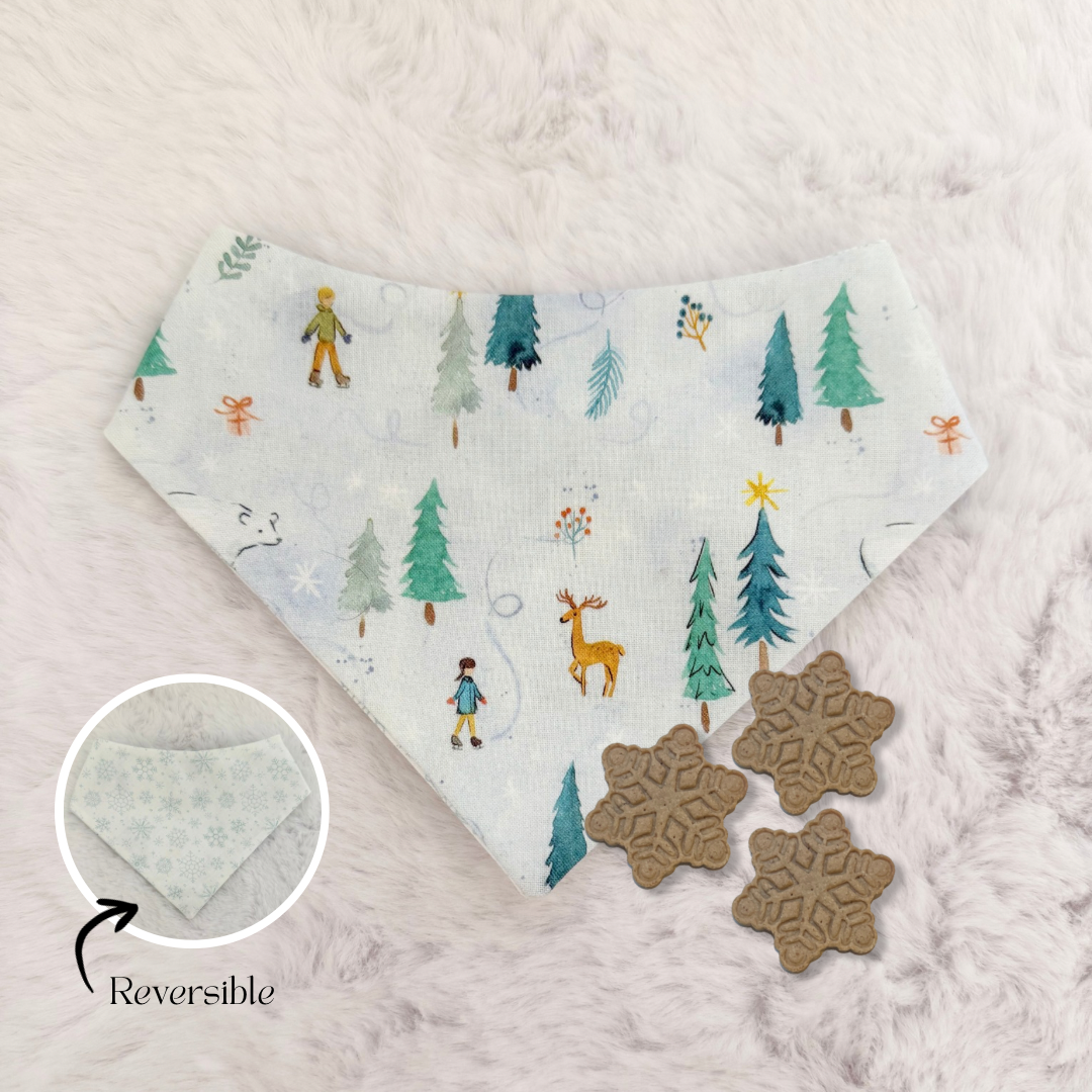 WINTER WONDERLAND TREAT & REVERSIBLE BANDANA BUNDLE