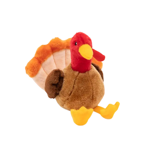 TURKEY TOY